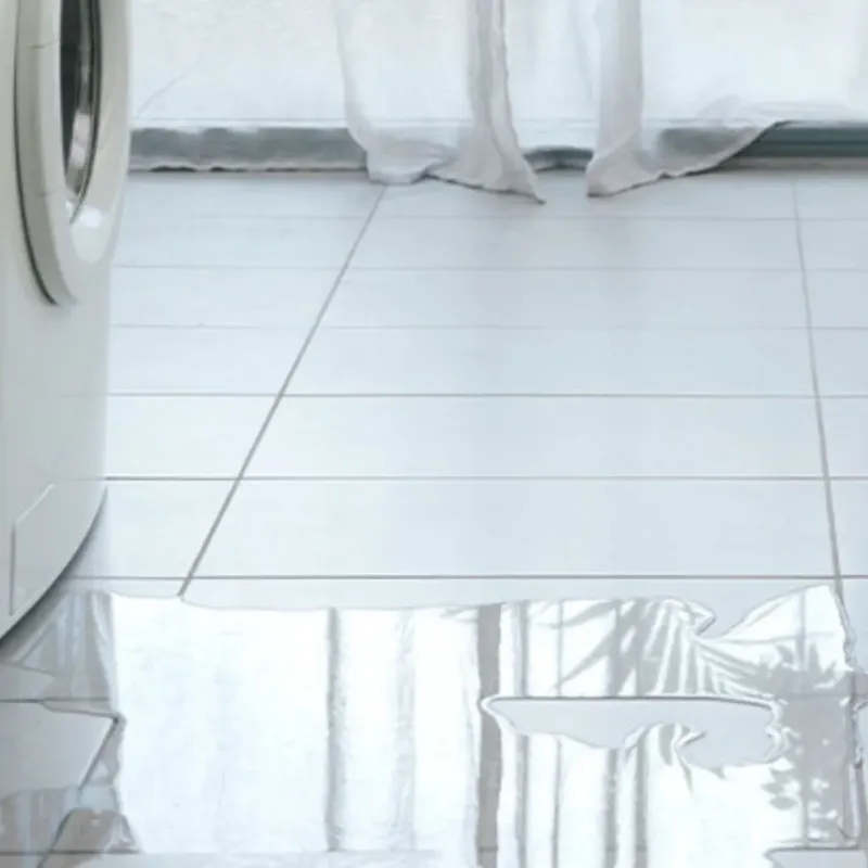 Appliance Leak Cleanup in Woodlake, CA