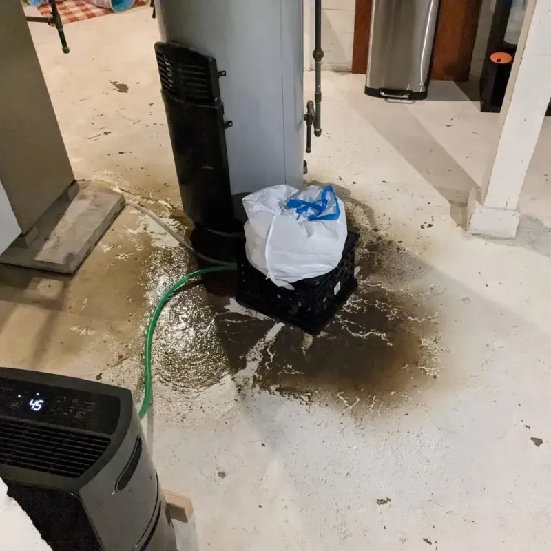 Sewage Backup Cleanup Service in Woodlake, CA